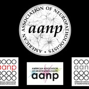 Logo Design for The American Association of Neuropathologists