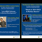 Hallway Display Posters – Postdoctoral Affairs Lecture Series