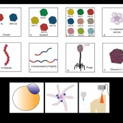 Series of Custom Illustrations for Scientific Paper